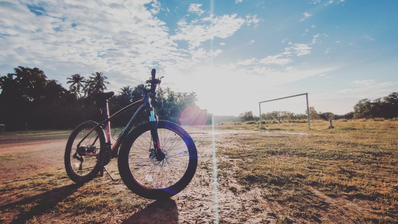 POLPO Hybrid Bike
